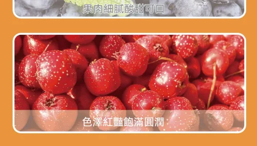 「無防腐劑、無色素｜台灣農產藍莓桑葚夾心片，高纖維＋花青素滿滿！吃零食也能很健康」 - 6